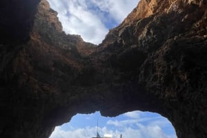 From Lagoa: Dolphins & Ponta da Piedade with biologist guide