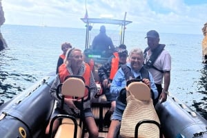 From Lagoa: Dolphins & Ponta da Piedade with biologist guide