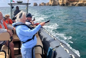 From Lagoa: Dolphins & Ponta da Piedade with biologist guide