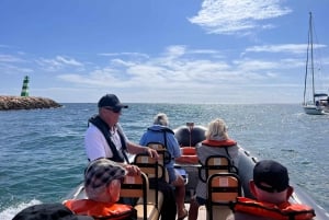 From Lagoa: Dolphins & Ponta da Piedade with biologist guide