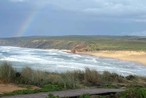 A partir de Lagos: Tour de 5 horas pela costa do Algarve com guia