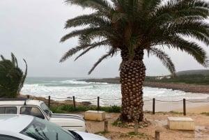 A partir de Lagos: Tour de 5 horas pela costa do Algarve com guia