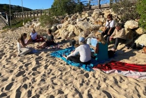 A partir de Lagos: Tour de 5 horas pela costa do Algarve com guia