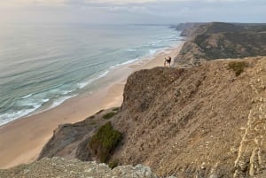 A partir de Lagos: Tour de 5 horas pela costa do Algarve com guia