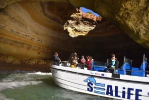 From Lagos: Benagil Cave and Coastal Cruise by Catamaran