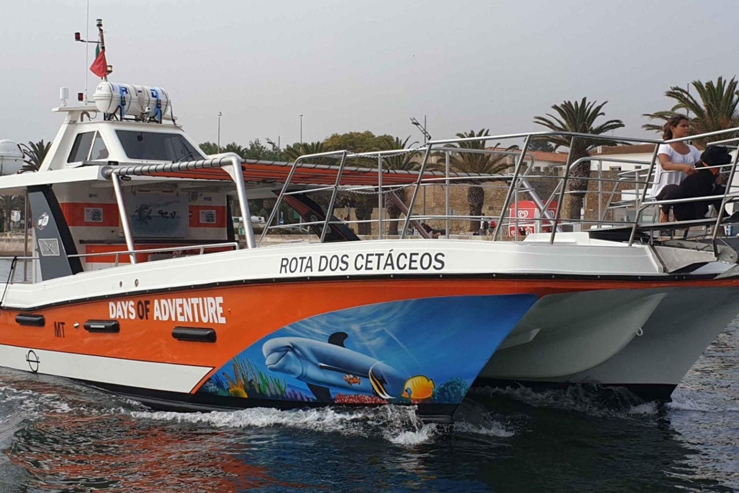 Från Lagos: Benagil Caves katamarankryssning