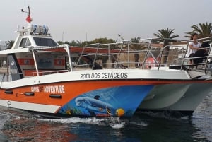 Från Lagos: Benagil Caves katamarankryssning