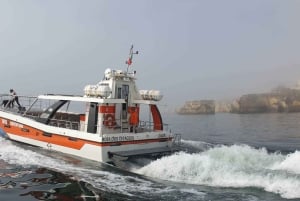 Från Lagos: Benagil Caves katamarankryssning