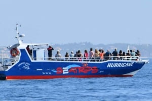 From Lagos: Benagil Sea Caves Tour with a Local Guide