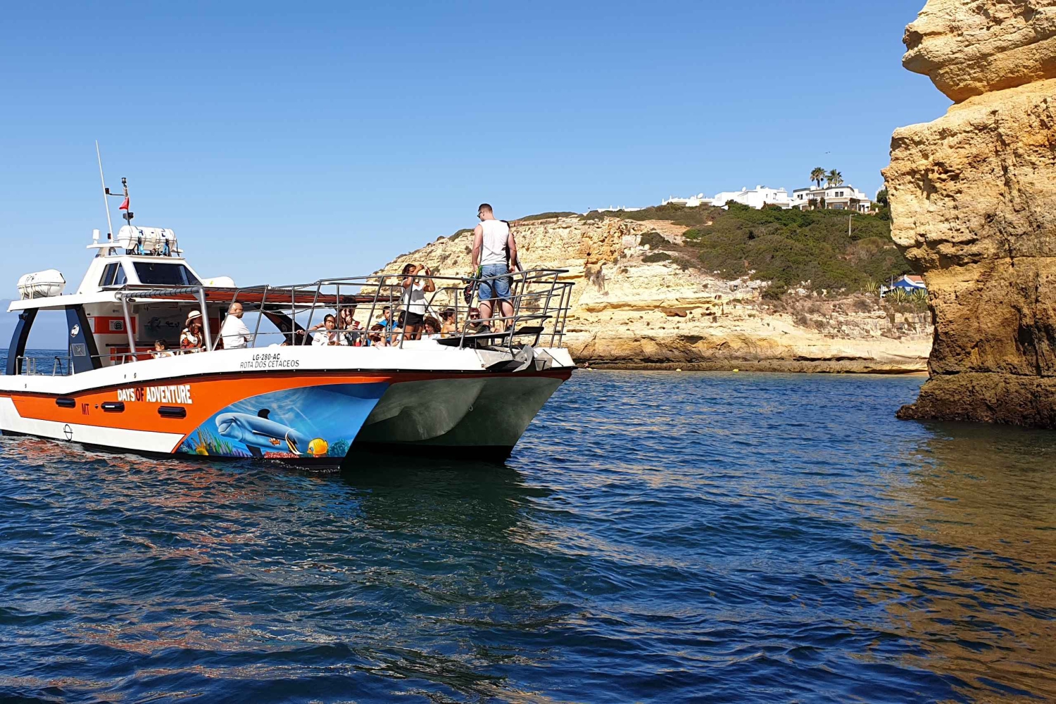 Von Lagos aus: Delfinbeobachtungs-Katamaranfahrt