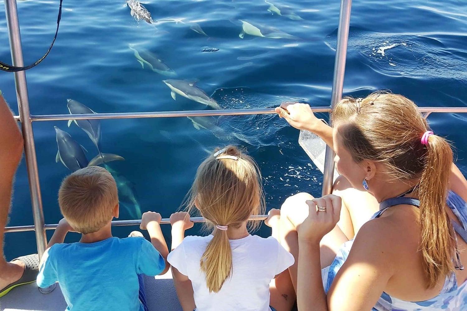 Von Lagos aus: Delfinbeobachtungs-Katamaranfahrt