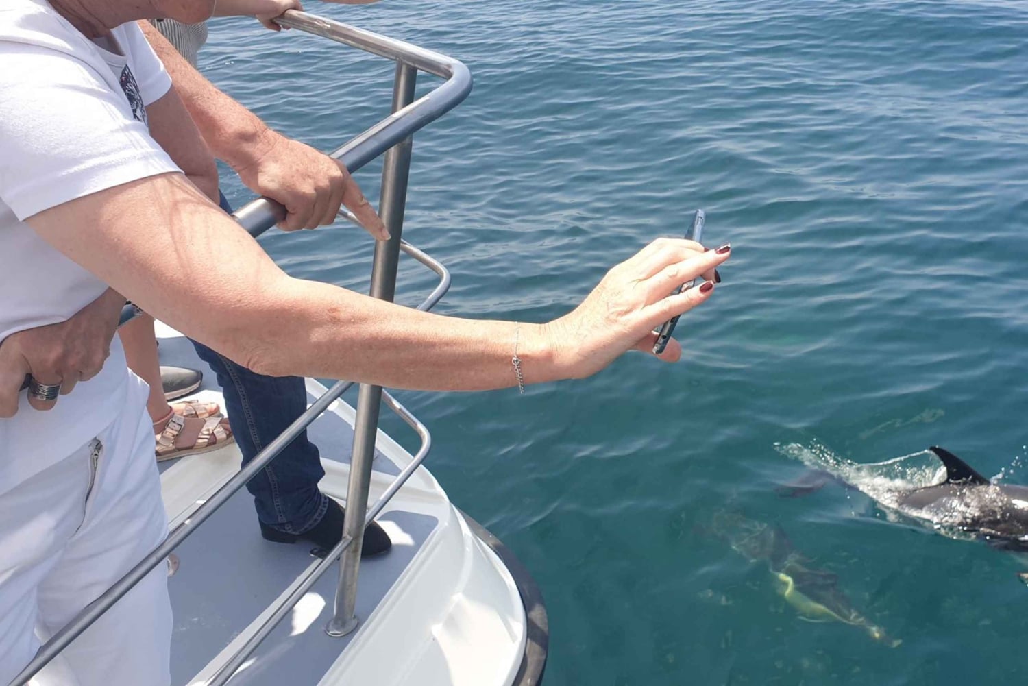 Von Lagos aus: Delfinbeobachtungs-Katamaranfahrt