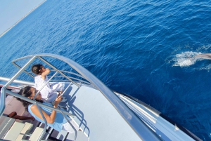 Von Lagos aus: Delfinbeobachtungs-Katamaranfahrt