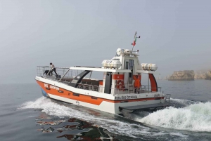From Lagos: Family-Friendly Catamaran Tour of Benagil