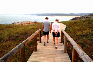From Lagos: Half-Day West Coast Minivan Tour