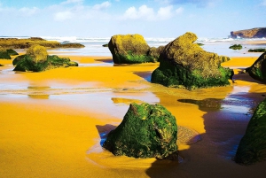 Vanuit Lagos: Minivantour van een halve dag langs de westkust