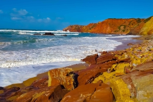 Vanuit Lagos: Minivantour van een halve dag langs de westkust