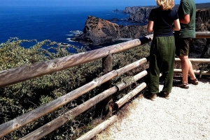 Vanuit Lagos: Minivantour van een halve dag langs de westkust