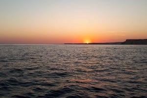 Z Lagos: rejs o zachodzie słońca Ponta da Piedade z drinkiem