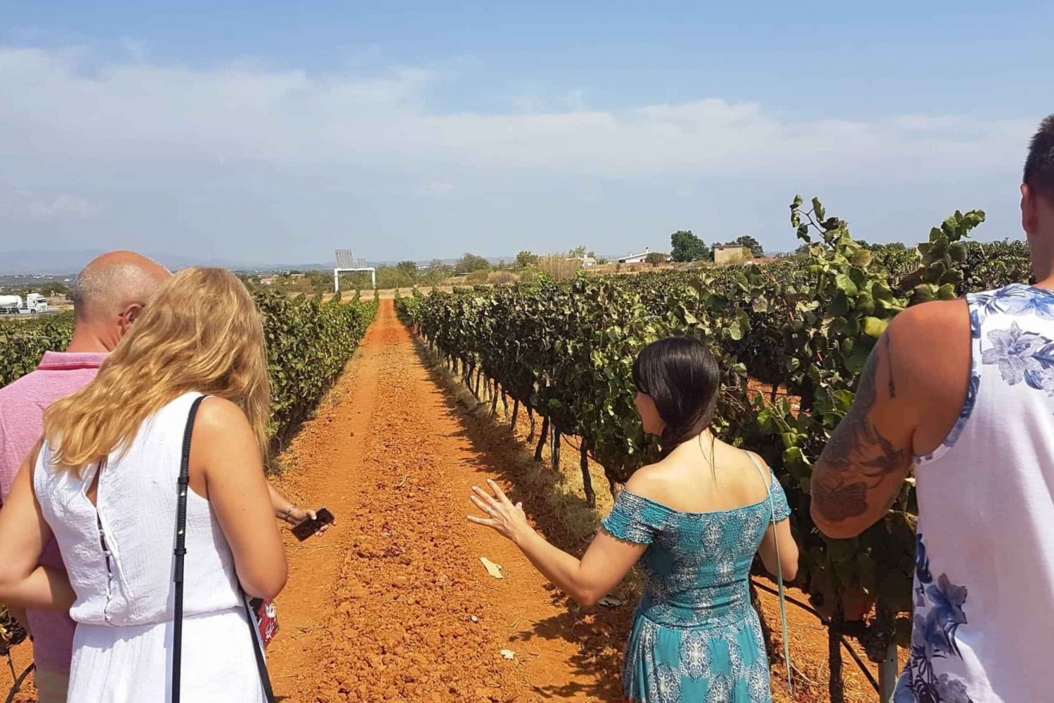 Från Lagos: Privat tur till Algarves vingårdar med vinprovningar