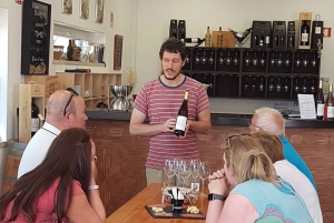 From Lagos: Private Algarve Wineries Tour with Tastings