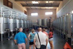 From Lagos: Private Algarve Wineries Tour with Tastings
