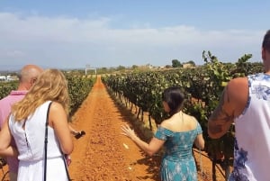 Au départ de Lagos : Visite privée des vignobles de l'Algarve avec dégustations