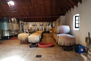 From Lagos: Private Algarve Wineries Tour with Tastings