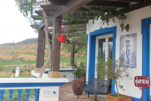 Fra Lagos: Privat tur med vingårder i Algarve med smaksprøver