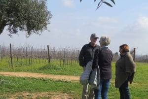 Au départ de Lagos : Visite privée des vignobles de l'Algarve avec dégustations