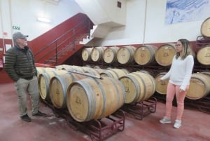 Au départ de Lagos : Visite privée des vignobles de l'Algarve avec dégustations