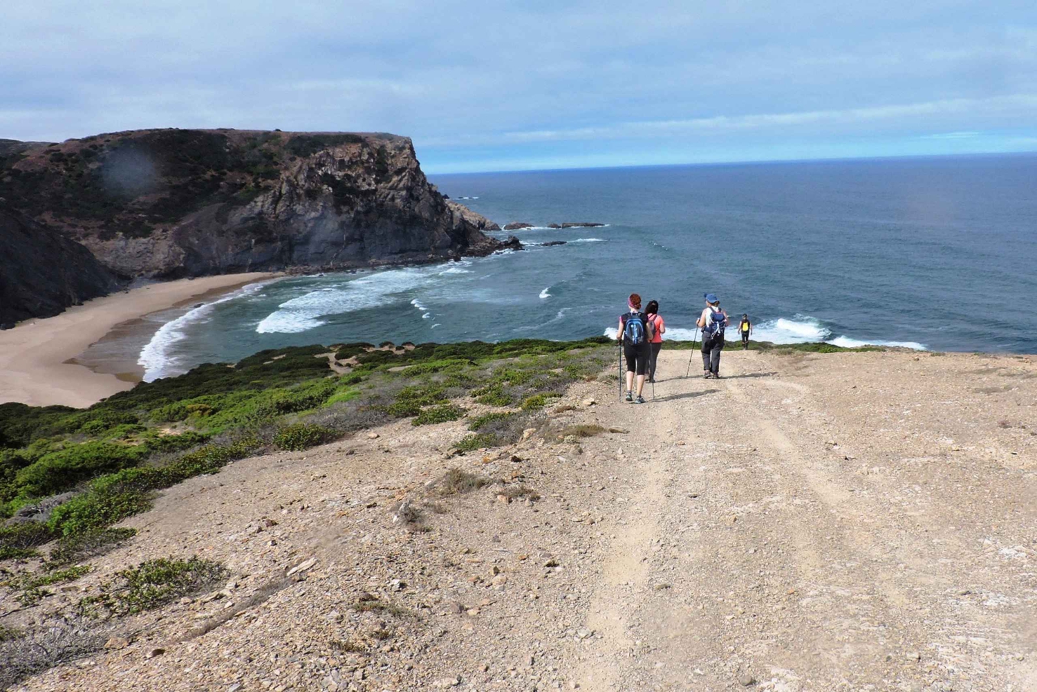 From Lagos: Private Guided Hike along the Vicentina Coast