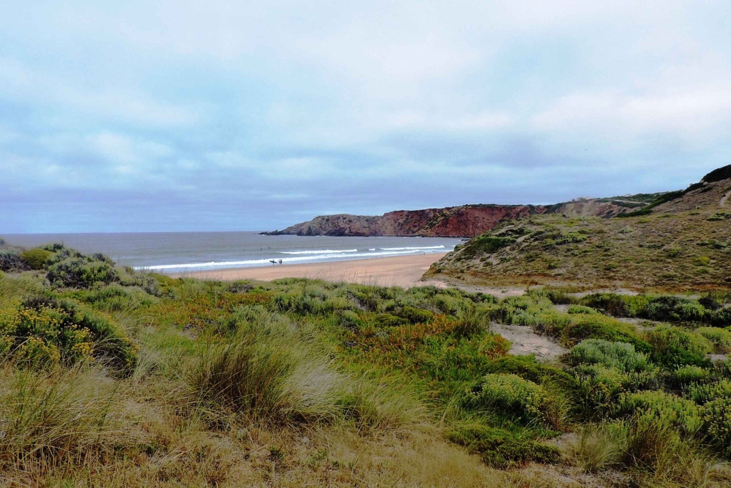 From Lagos: Private Guided Hike along the Vicentina Coast