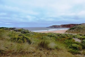 From Lagos: Private Guided Hike along the Vicentina Coast