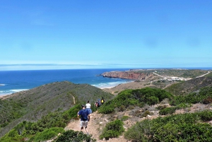 From Lagos: Private Guided Hike along the Vicentina Coast