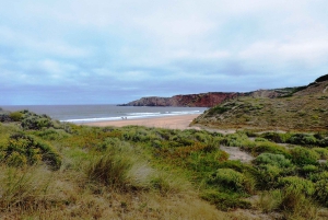 From Lagos: Private Guided Hike along the Vicentina Coast