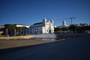 Fra Lagos: Privat tur til Lagos og Sagres