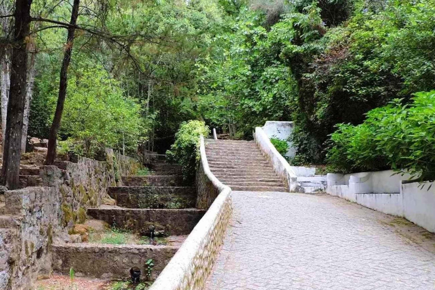 From Lagos: Private Tour with Medronho Tasting