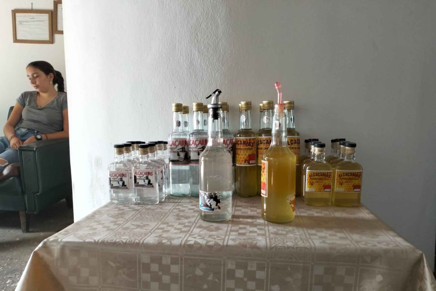 From Lagos: Private Tour with Medronho Tasting