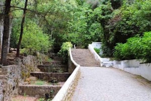 From Lagos: Private Tour with Medronho Tasting