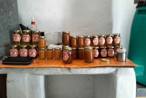 From Lagos: Private Tour with Medronho Tasting