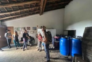 From Lagos: Private Tour with Medronho Tasting