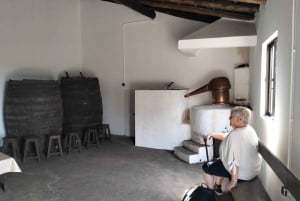 From Lagos: Private Tour with Medronho Tasting