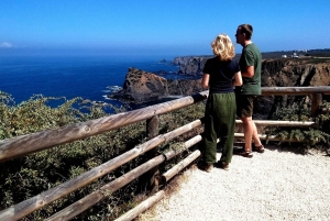 Au départ de Lagos : visite privée de la côte ouest