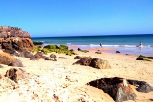 Au départ de Lagos : visite privée de la côte ouest