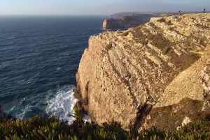 Au départ de Lagos : visite privée de la côte ouest