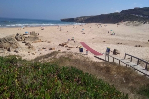 Au départ de Lagos : visite privée de la côte ouest