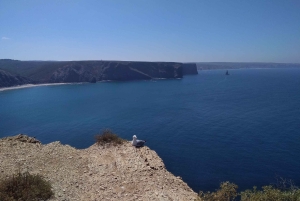 Au départ de Lagos : visite privée de la côte ouest