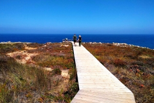 Au départ de Lagos : visite privée de la côte ouest