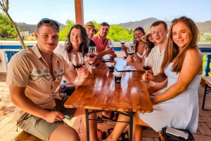 From Lagos: Small-Group 4-Hour Wine Tasting Tour